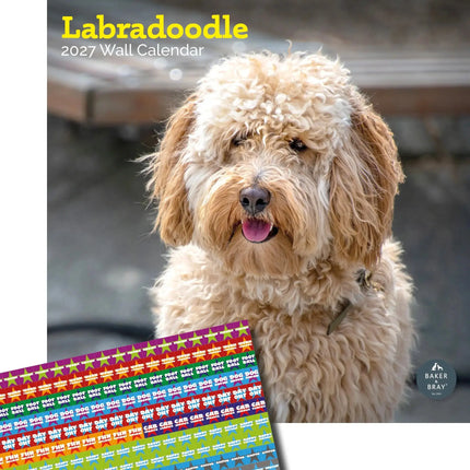 Baker & Bray Labradoodle Kalender 2027