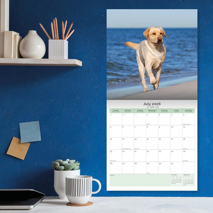 Baker & Bray Labrador Retriever Blond Kalender 2026