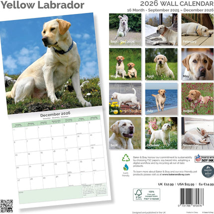 Baker & Bray Labrador Retriever Blond Kalender 2027