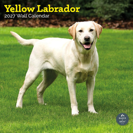 Baker & Bray Labrador Retriever Blond Kalender 2027