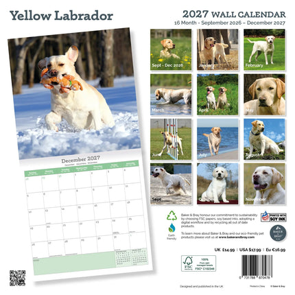 Baker & Bray Labrador Retriever Blond Kalender 2027