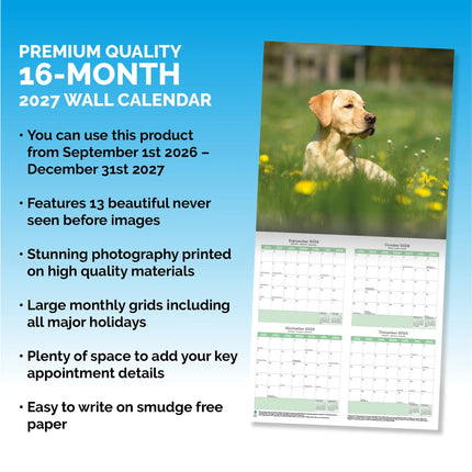 Baker & Bray Labrador Retriever Blond Kalender 2027