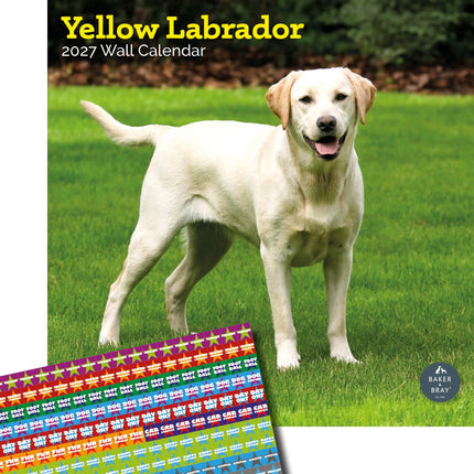 Baker & Bray Labrador Retriever Blond Kalender 2027