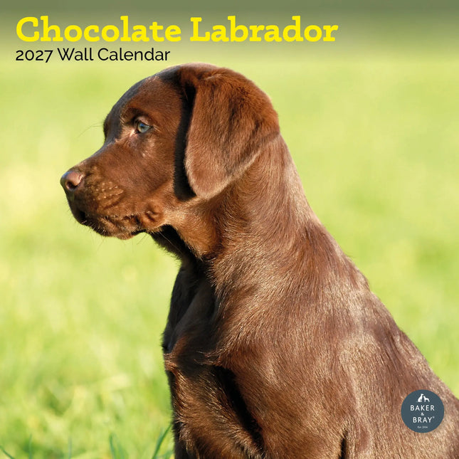 Baker & Bray Labrador Retriever Bruin Kalender 2026