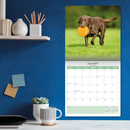 Baker & Bray Labrador Retriever Bruin Kalender 2026