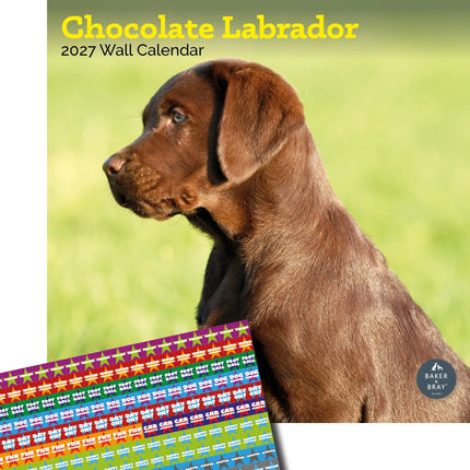 Baker & Bray Labrador Retriever Bruin Kalender 2026