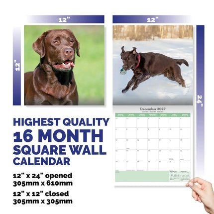 Baker & Bray Labrador Retriever Bruin Kalender 2027