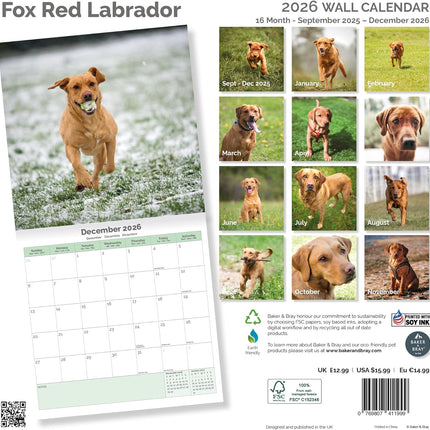 Baker & Bray Labrador Retriever Fox Red Kalender 2026