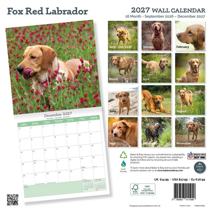 Baker & Bray Labrador Retriever Fox Red Kalender 2026