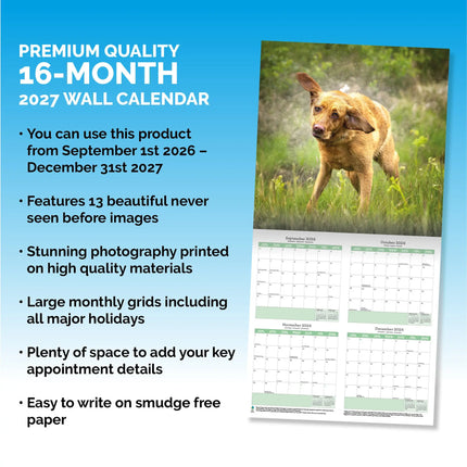 Baker & Bray Labrador Retriever Fox Red Kalender 2026