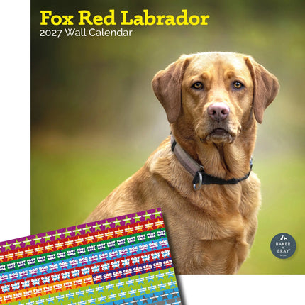 Baker & Bray Labrador Retriever Fox Red Kalender 2026