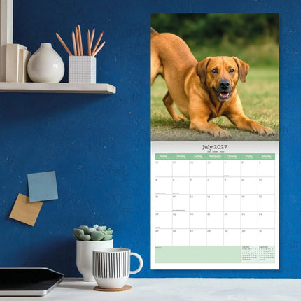 Baker & Bray Labrador Retriever Fox Red Kalender 2027