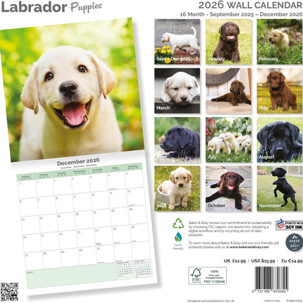 Baker & Bray Labrador Retriever Puppies Kalender 2026