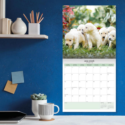 Baker & Bray Labrador Retriever Puppies Kalender 2026