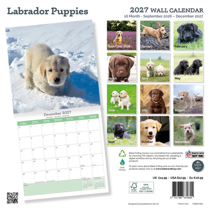 Baker & Bray Labrador Retriever Puppies Kalender 2026