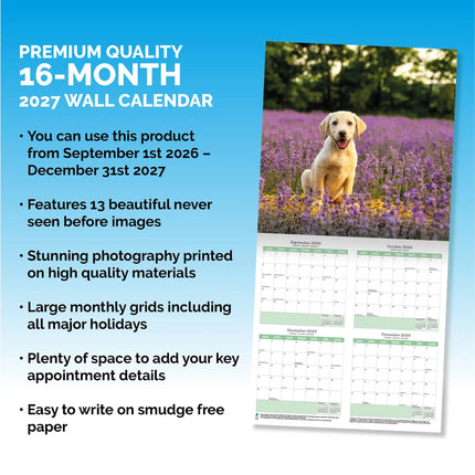 Baker & Bray Labrador Retriever Puppies Kalender 2026