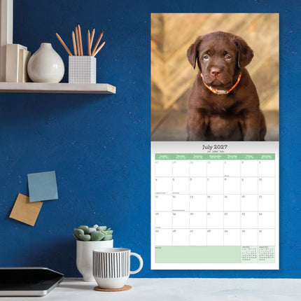 Baker & Bray Labrador Retriever Puppies Kalender 2026