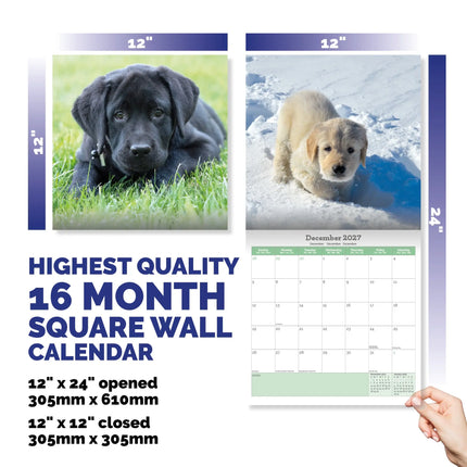 Baker & Bray Labrador Retriever Puppies Kalender 2026