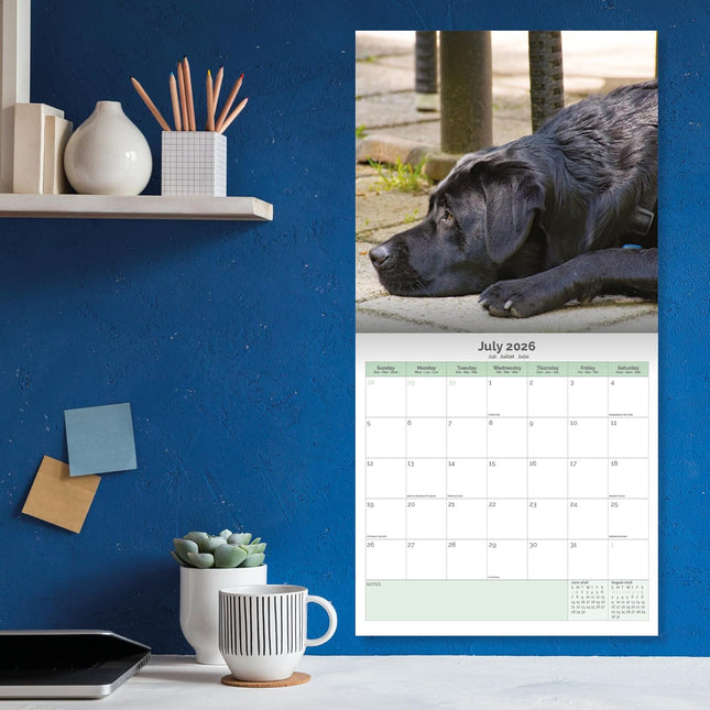 Baker & Bray Labrador Retriever Zwart Kalender 2026