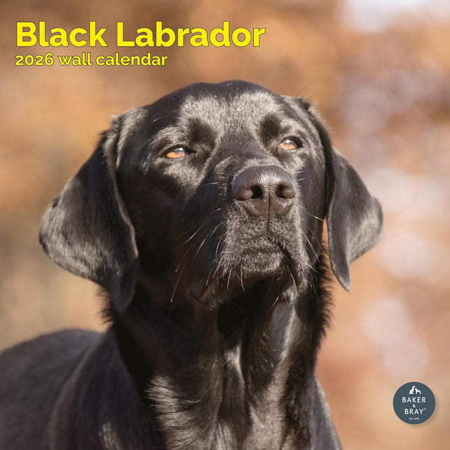 Baker & Bray Labrador Retriever Zwart Kalender 2026