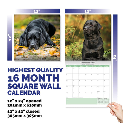 Baker & Bray Labrador Retriever Zwart Kalender 2027
