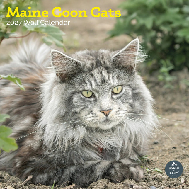 Baker & Bray Maine Coon Kalender 2026