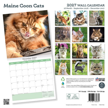 Baker & Bray Maine Coon Kalender 2026