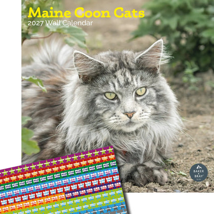 Baker & Bray Maine Coon Kalender 2026