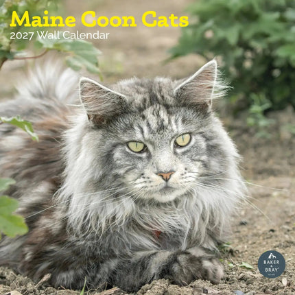 Baker & Bray Maine Coon Kalender 2027