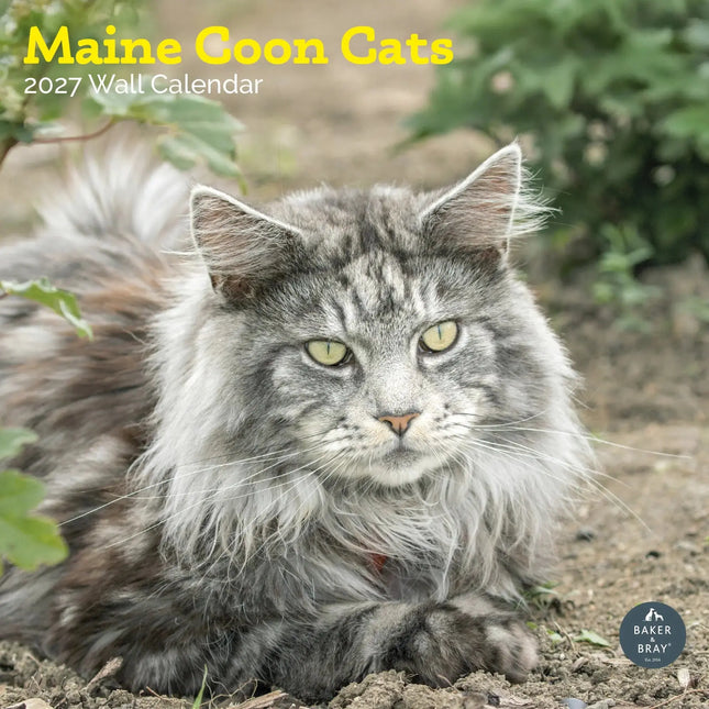 Baker & Bray Maine Coon Kalender 2027