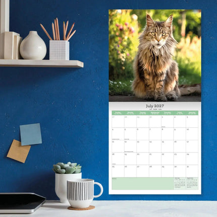 Baker & Bray Maine Coon Kalender 2027