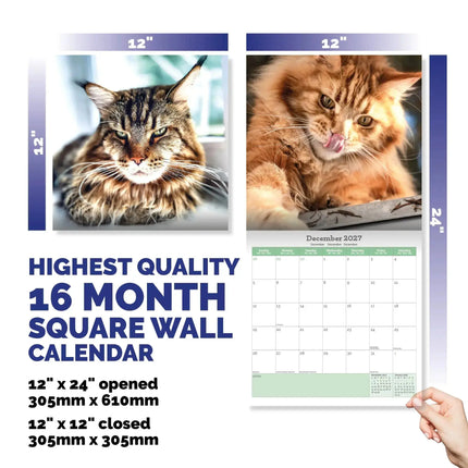 Baker & Bray Maine Coon Kalender 2027