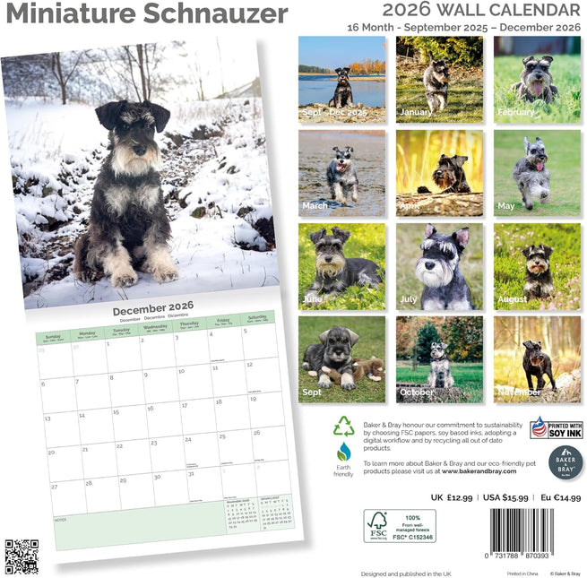 Baker & Bray Miniatuur Schnauzer Kalender 2026