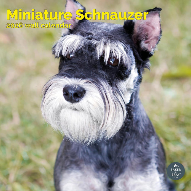 Baker & Bray Miniatuur Schnauzer Kalender 2026
