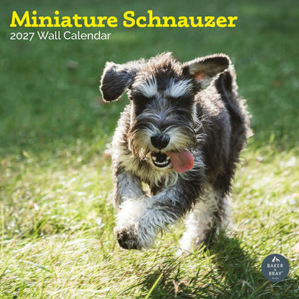 Baker & Bray Miniatuur Schnauzer Kalender 2026