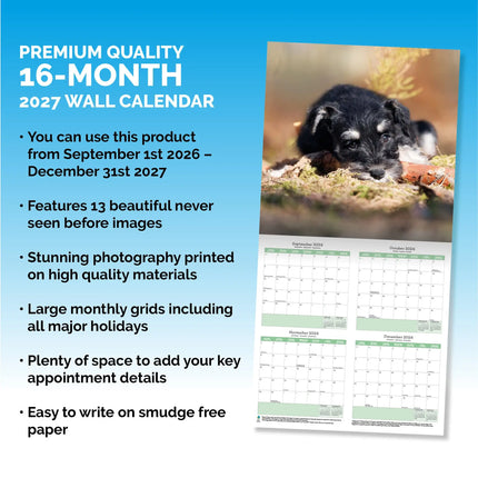 Baker & Bray Miniatuur Schnauzer Kalender 2026