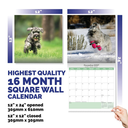 Baker & Bray Miniatuur Schnauzer Kalender 2026