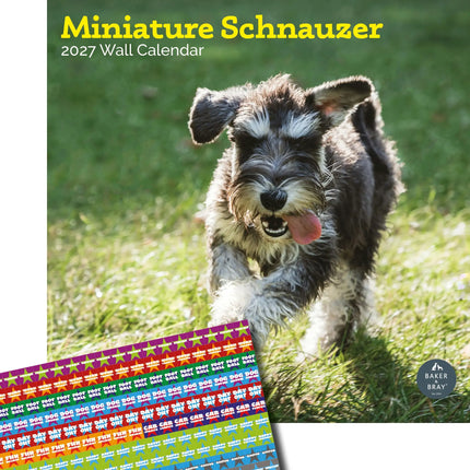 Baker & Bray Miniatuur Schnauzer Kalender 2026