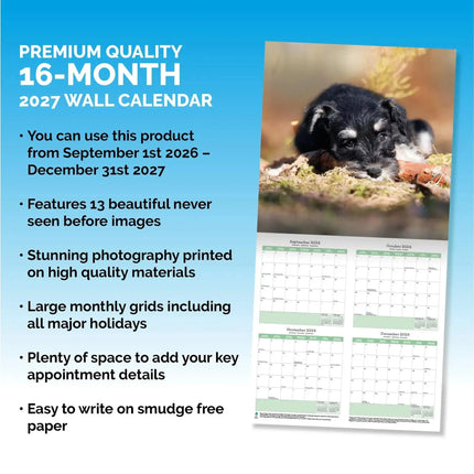 Baker & Bray Miniatuur Schnauzer Kalender 2027