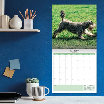 Baker & Bray Miniatuur Schnauzer Kalender 2027