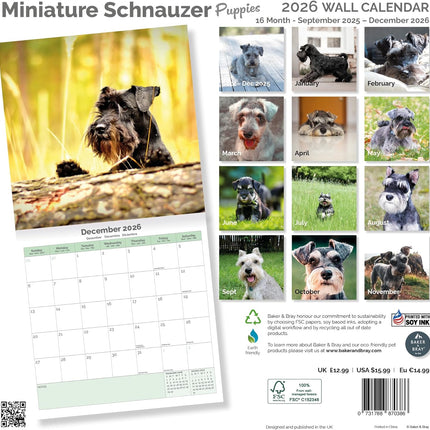 Baker & Bray Miniatuur Schnauzer Puppies Kalender 2026