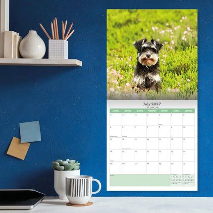 Baker & Bray Miniatuur Schnauzer Puppies Kalender 2027