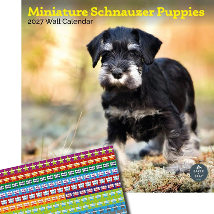 Baker & Bray Miniatuur Schnauzer Puppies Kalender 2027