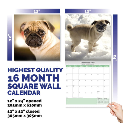 Baker & Bray Mopshond Kalender 2026