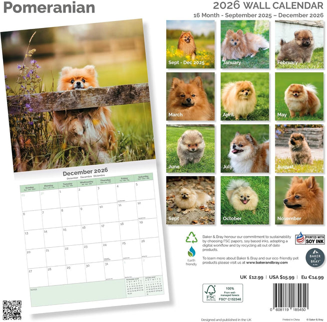 Baker & Bray Pomeranian Kalender 2026