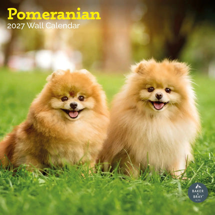 Baker & Bray Pomeranian Kalender 2027