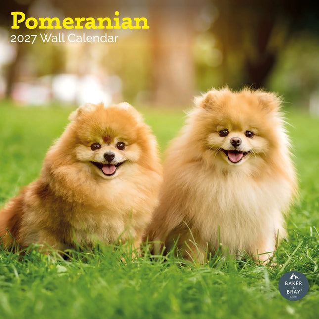 Baker & Bray Pomeranian Kalender 2027