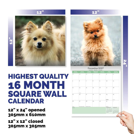 Baker & Bray Pomeranian Kalender 2027