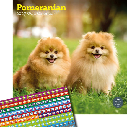 Baker & Bray Pomeranian Kalender 2027