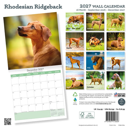 Baker & Bray Rhodesian Ridgeback Kalender 2027